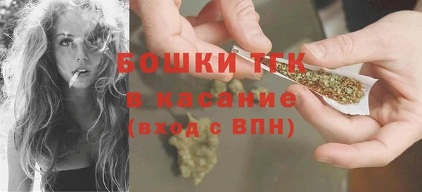 индика Нягань
