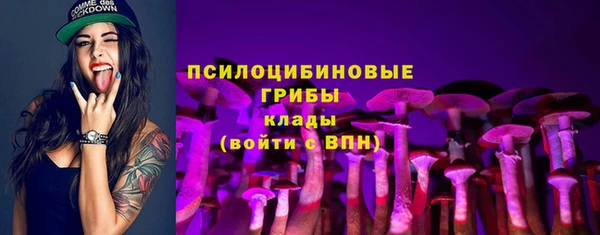 индика Нягань
