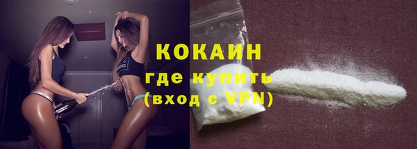 индика Нягань