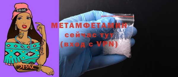 индика Нягань