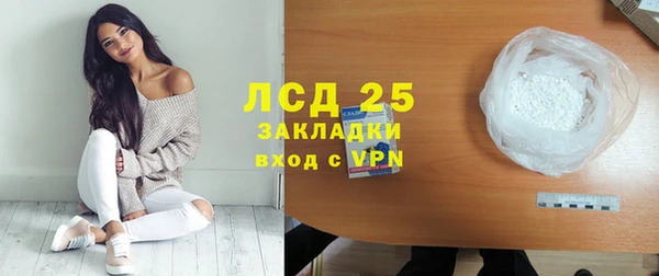 индика Нягань