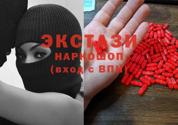 индика Нягань