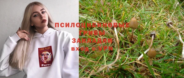 индика Нягань