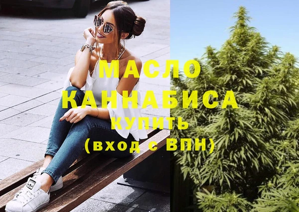 индика Нягань
