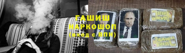 индика Нягань