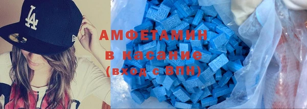 индика Нягань