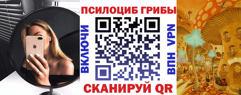 Галлюциногенные грибы GOLDEN TEACHER  Балтийск 
